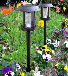 solar garden lights